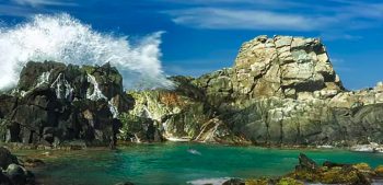 Image 3-19-25 at 10.27 PM